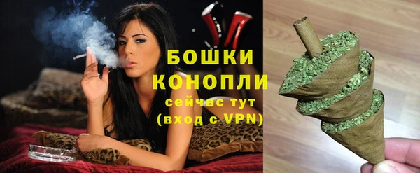 тгк Костерёво